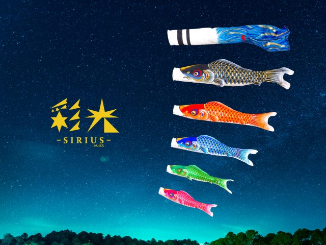 鯉のぼり「SIRIUS-彩光-」新登場!!