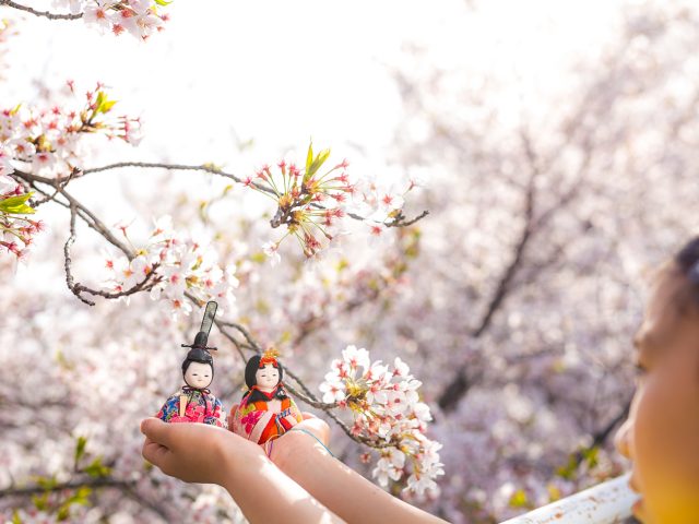 来季に向けて準備中!
