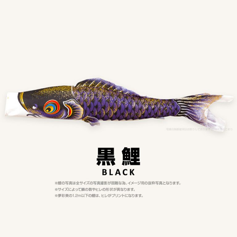 こいのぼり 単品 鯉のぼり 夢・彩・美 ゆめさいび 6m 単品鯉
